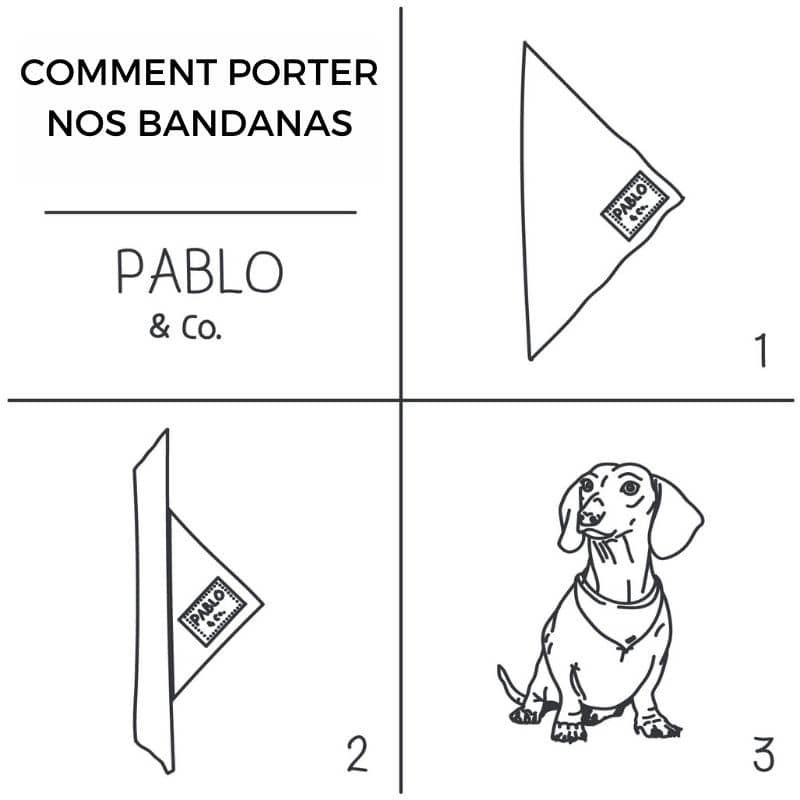 BANDANA POUR CHIEN - CAMOUFLAGE