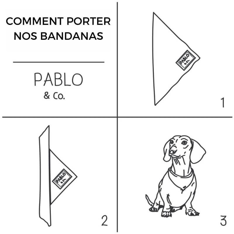 bandana pour chien Pablo & Co Halloween