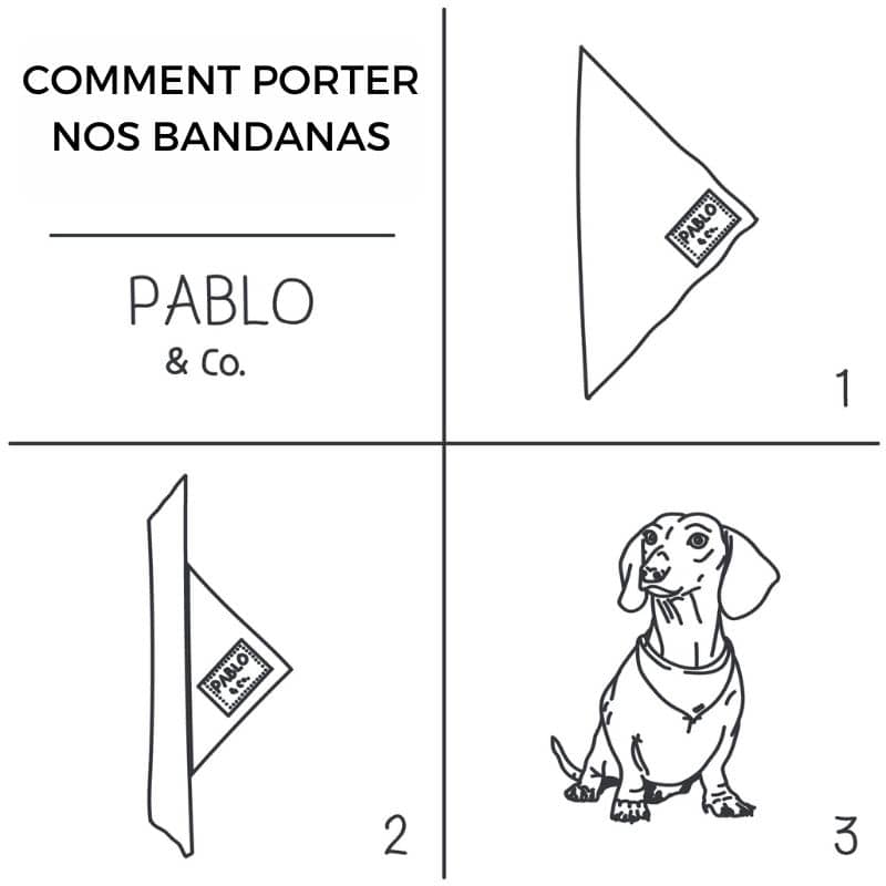 Comment porter les bandanas pour chien Pablo & Co