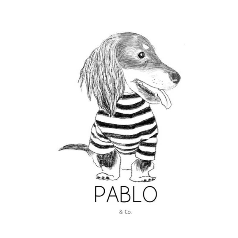 Logo  collier pour chien "Rudolph le renne de noël" Pablo & Co
