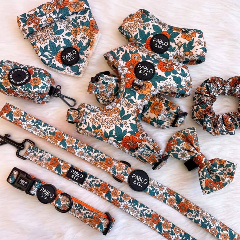 Collection pour chien Wildfowers de Pablo & Co