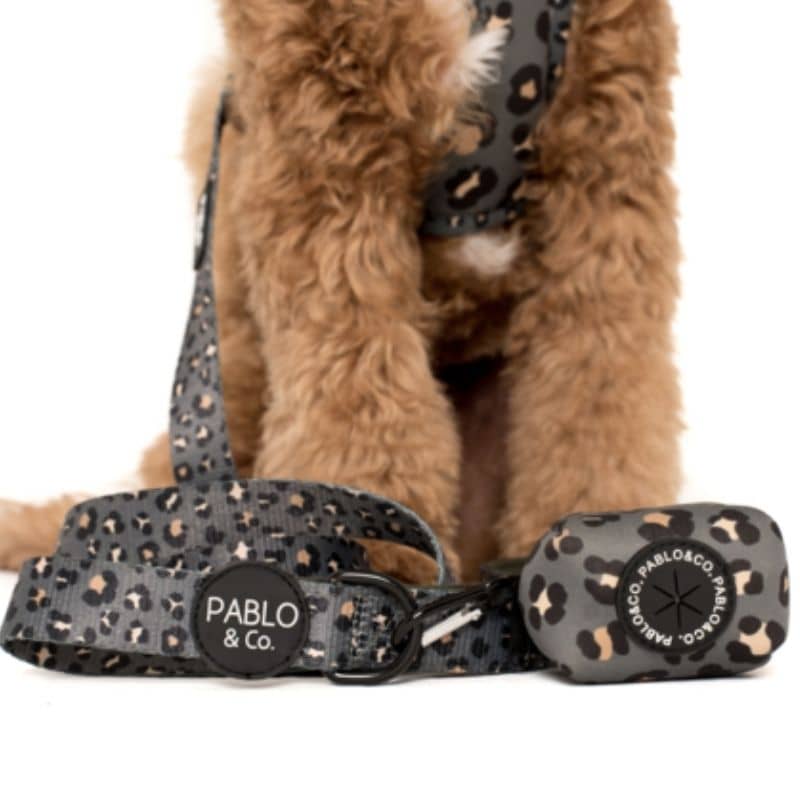 laisse pour chien khaki leopard pablo and co