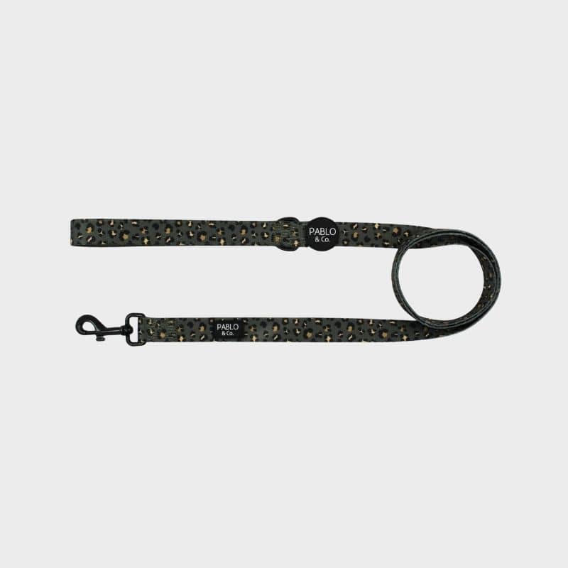 laisse pour chien kaki leopard pablo and co