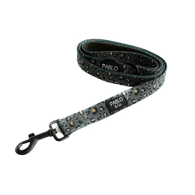 laisse pour chien kaki leopard pablo and co detail