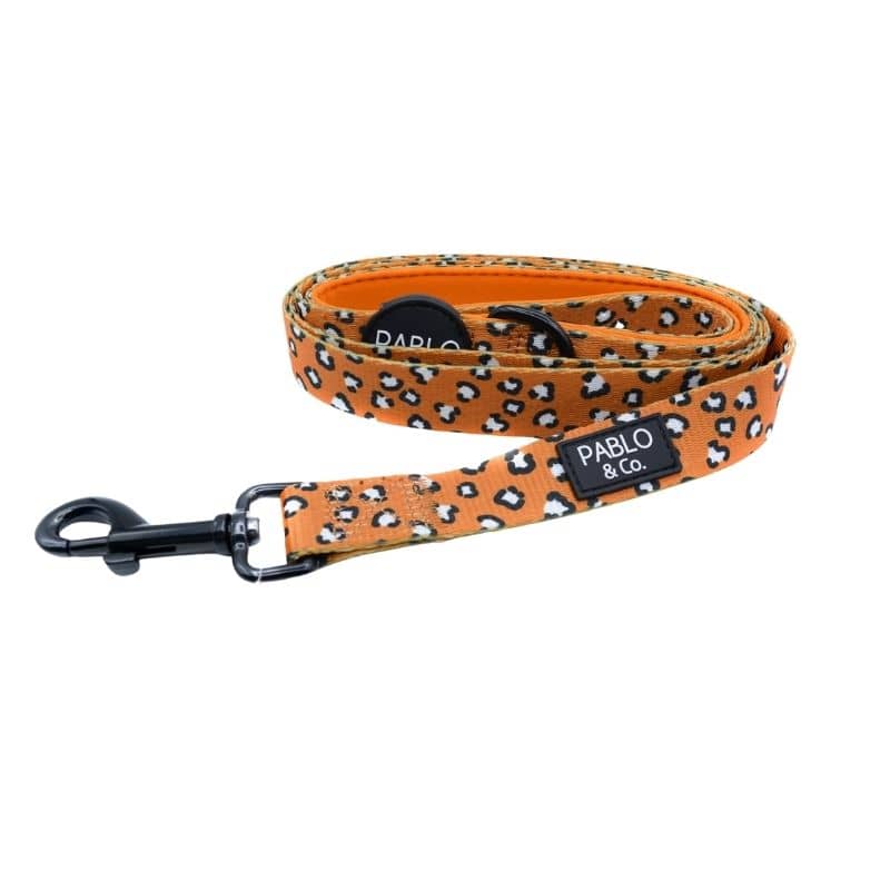 laisse pour chien pablo and co that leopard