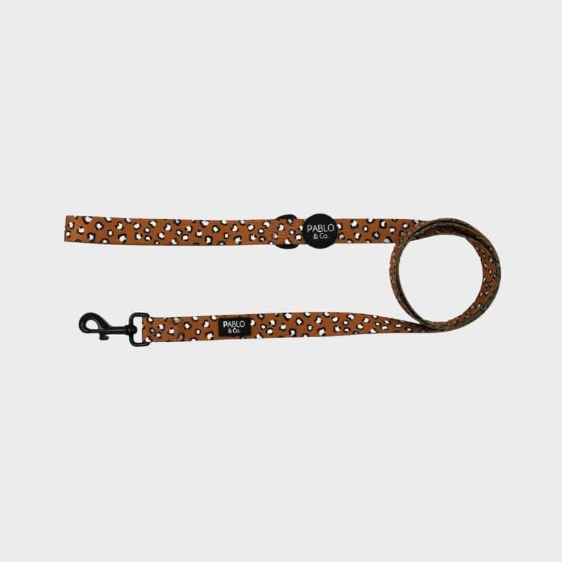 laisse pour chien terracotta leopard pablo and co