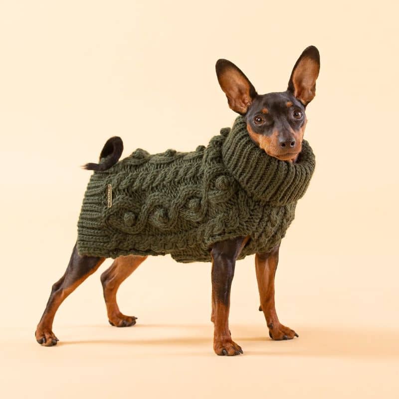 Pull pour chien kaki en laine de la marque PAIKKA