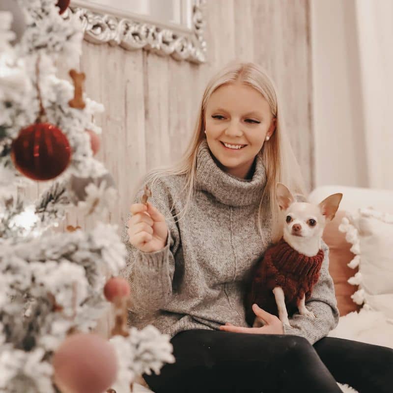 pull d'hiver en laine bien chaude pour chien bordeaux de la marque Paikka 