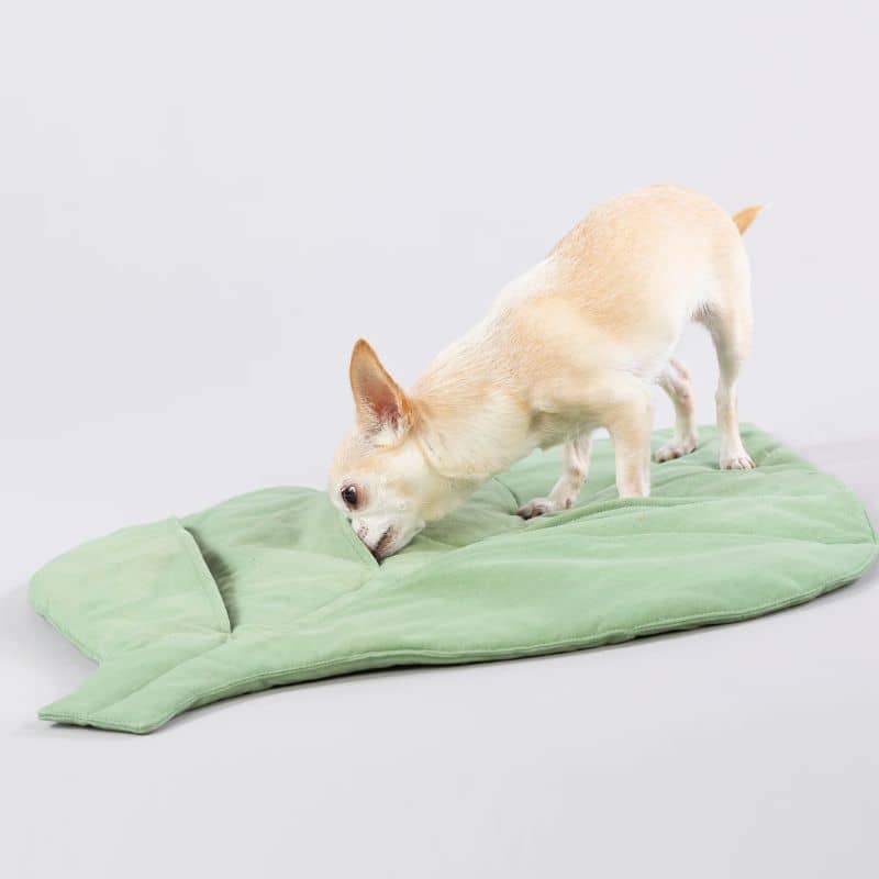 Tapis de fouille pour chien en forme de feuille verte de la marque PAIKKA