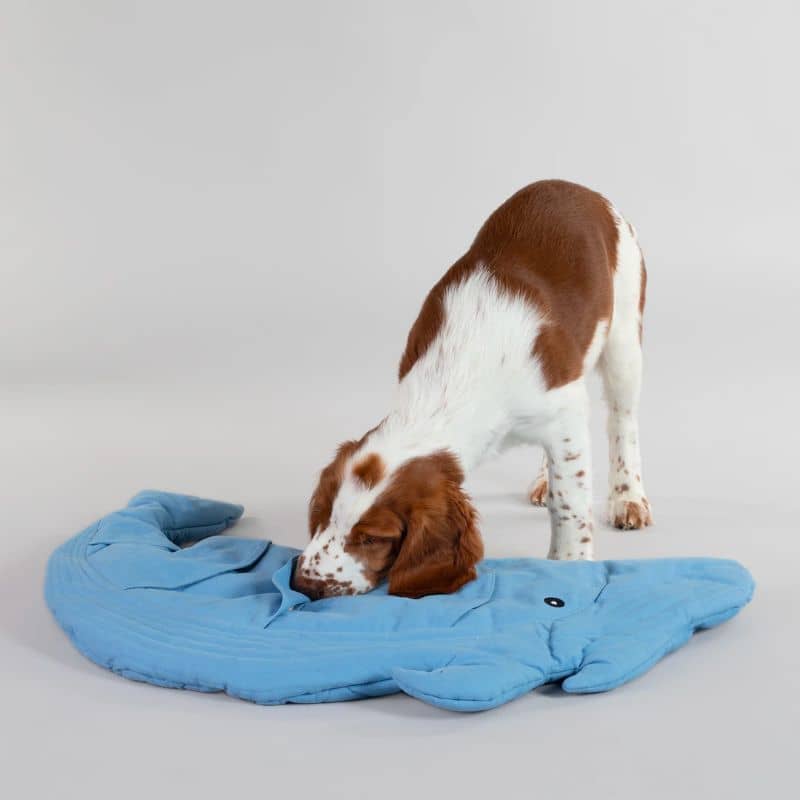 tapis de fouille et d'occupation matelassé en matière écologique en forme de baleine bleue de la marque paikka idéal pour occuper et stimuler le chien grâce à la recherche de friandises faisant travailler son flair. peut également être utilisé comme matelas d'appoint