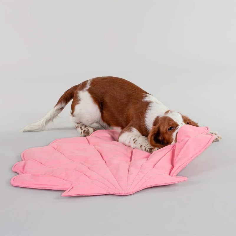 tapis de fouille et d'occupation matelassé en matière écologique en forme de coquillage rose de la marque paikka idéal pour occuper et stimuler le chien grâce à la recherche de friandises faisant travailler son flair. peut également être utilisé comme matelas d'appoint