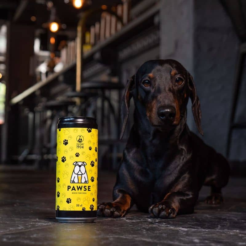 bière pour chien Pawse - boisson naturelle sans alcool et sans gaz au miel pour chien