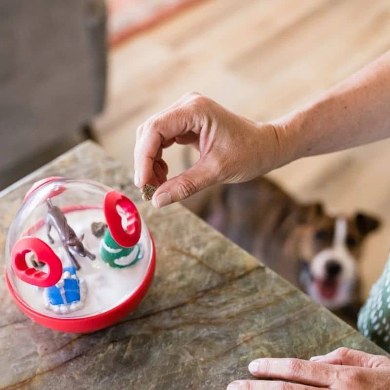 jouet d’occupation interactif qui distribue des croquettes ou des récompenses pour chien noel