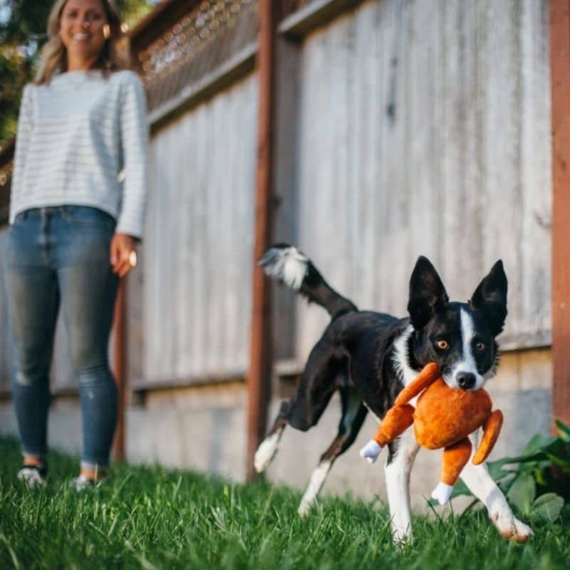 jouet de Noel pour chien original en forme de dinde PLAY
