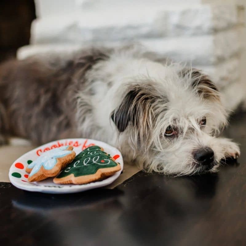 jouet de Noel pour chien original en forme d'assiette de cookies PLAY