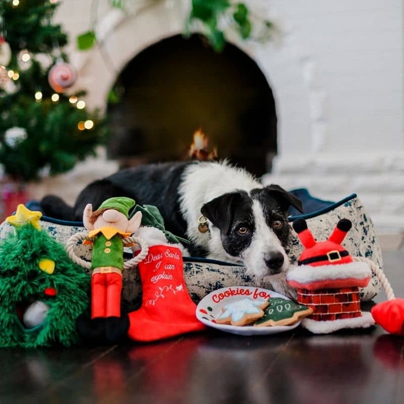 jouet de Noël pour chien "Clumsy Claus" en forme de Père Noël et cheminée collection