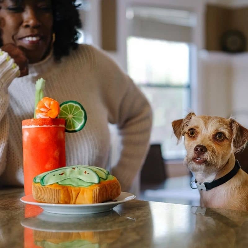 jouet pour chien Buddy Mary en forme de bloody mary 🍹🍤 P.L.A.Y.