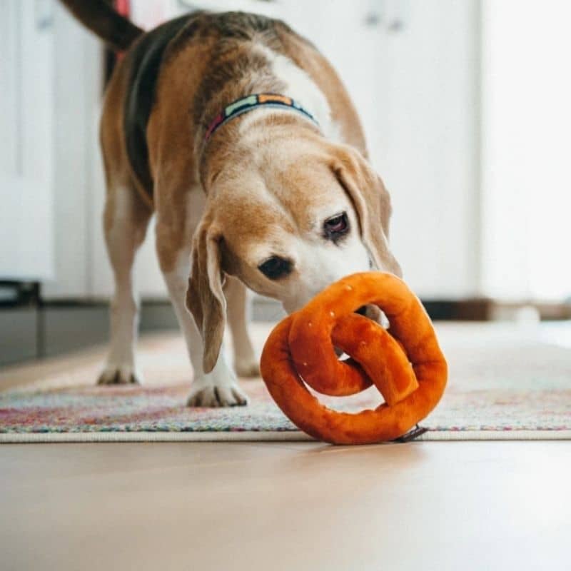 jouet pour chien Poochie Pretzel en forme de bretzel 🥨 P.L.A.Y. 