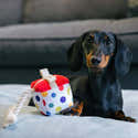 Jouets Pour Chien De Noël - Lot De 2 Peluches Avec Sifflet Et Papier Froissant - Résistants - 2