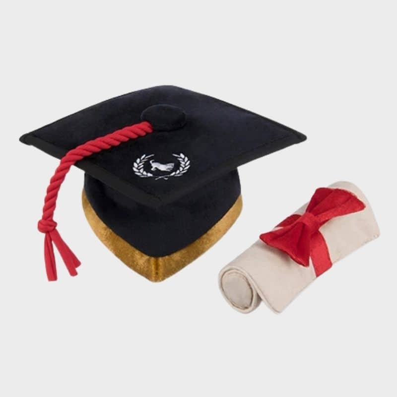 jouet pour chien K9 Scholar en forme de toque et diplôme 🎓 P.L.A.Y. 