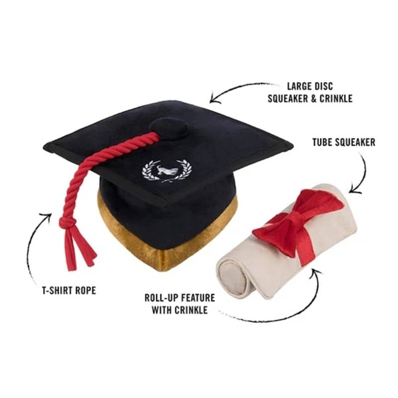 jouet pour chien K9 Scholar en forme de toque et diplôme 🎓 P.L.A.Y. 