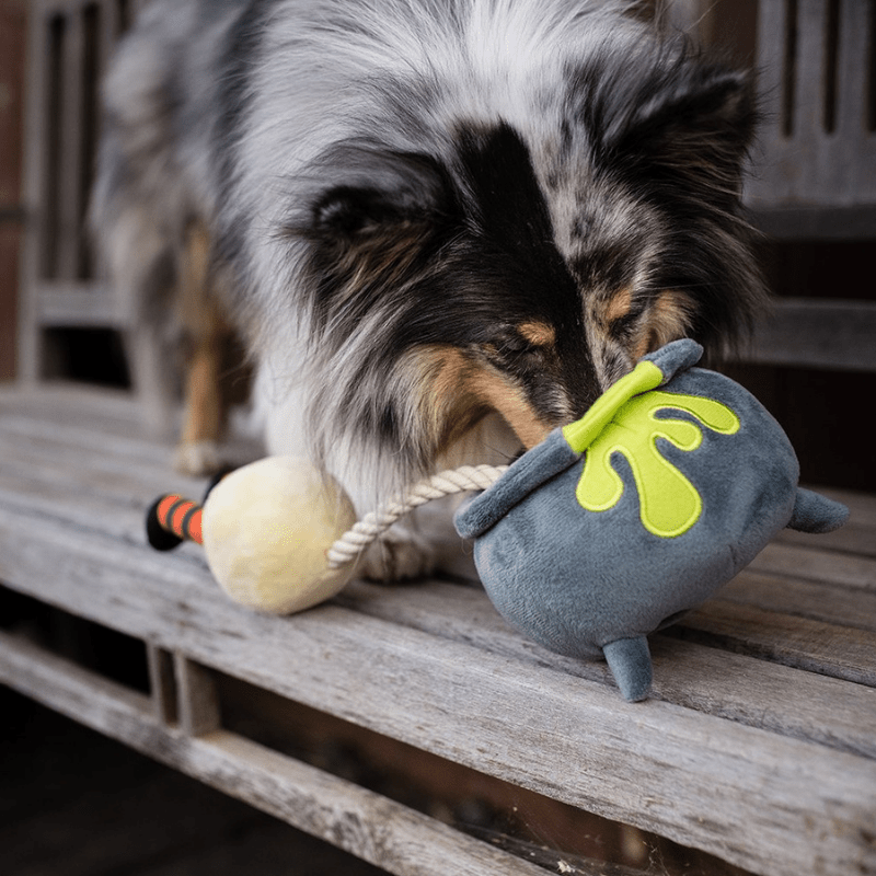 jouet interactif pour chien Pup Potion en forme de chaudron magique halloween