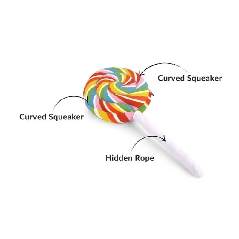 jouet interactif et fun pour chien en forme de sucette multicolore