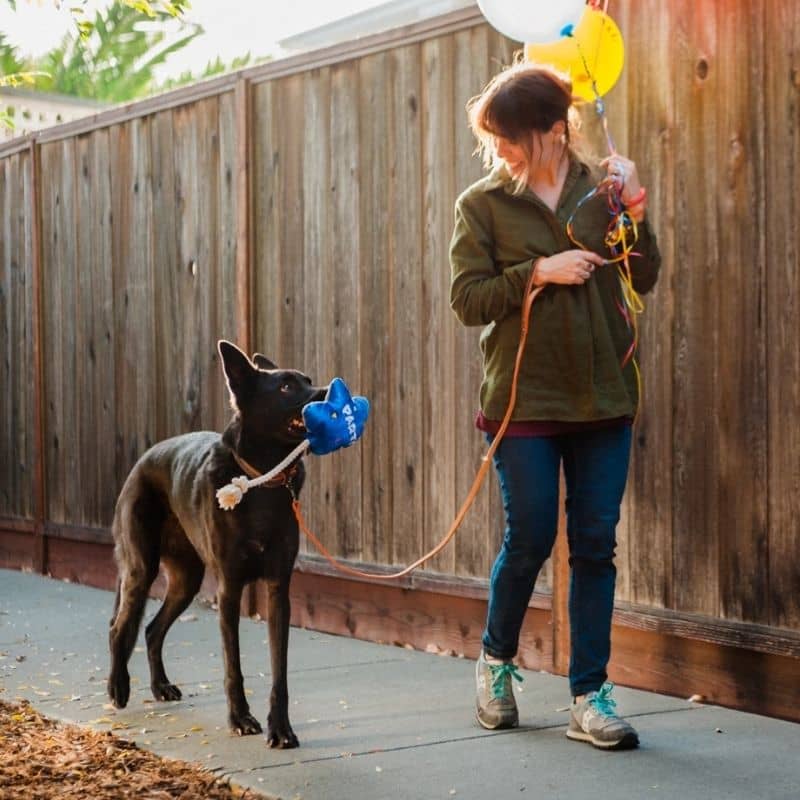  jouet pour chien Best Day Ever Balloon en forme de ballon 🎈 P.L.A.Y.