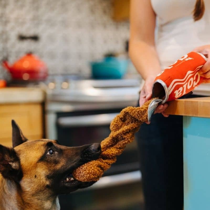 jouet peluche pour chien originale en forme de canette de soda rouge PLAY