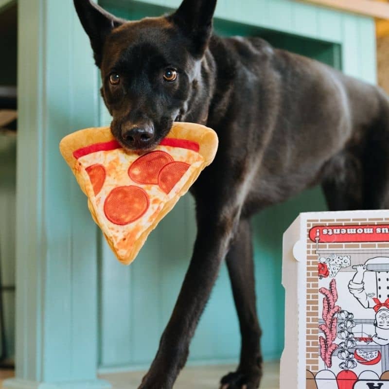 Part de pizza pour chien originale