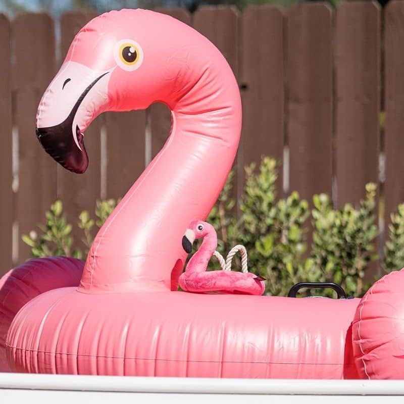 jouet pour chien pour l'été en forme de bouée flamant rose PLAY