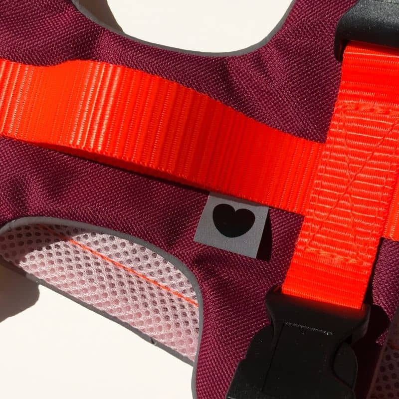 Détail harnais Protekt Animals en neon fluo orange
