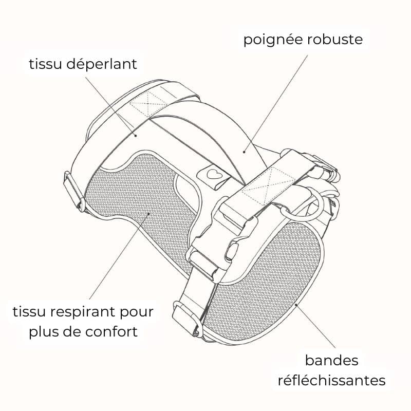 Caractéristique du harnais pour chien en forme Y