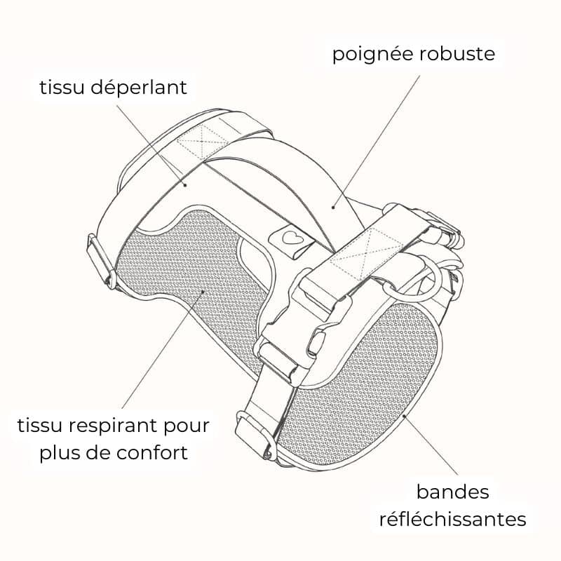 Harnais chat avec poignée robuste 