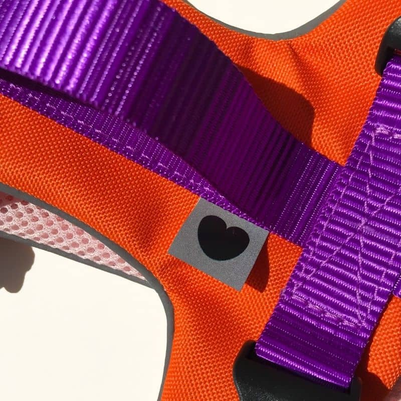 Détail harnais pour chien avec poignée en violet