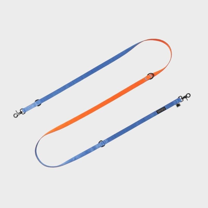 Laisse duo orange et bleu pour chien en multipositions