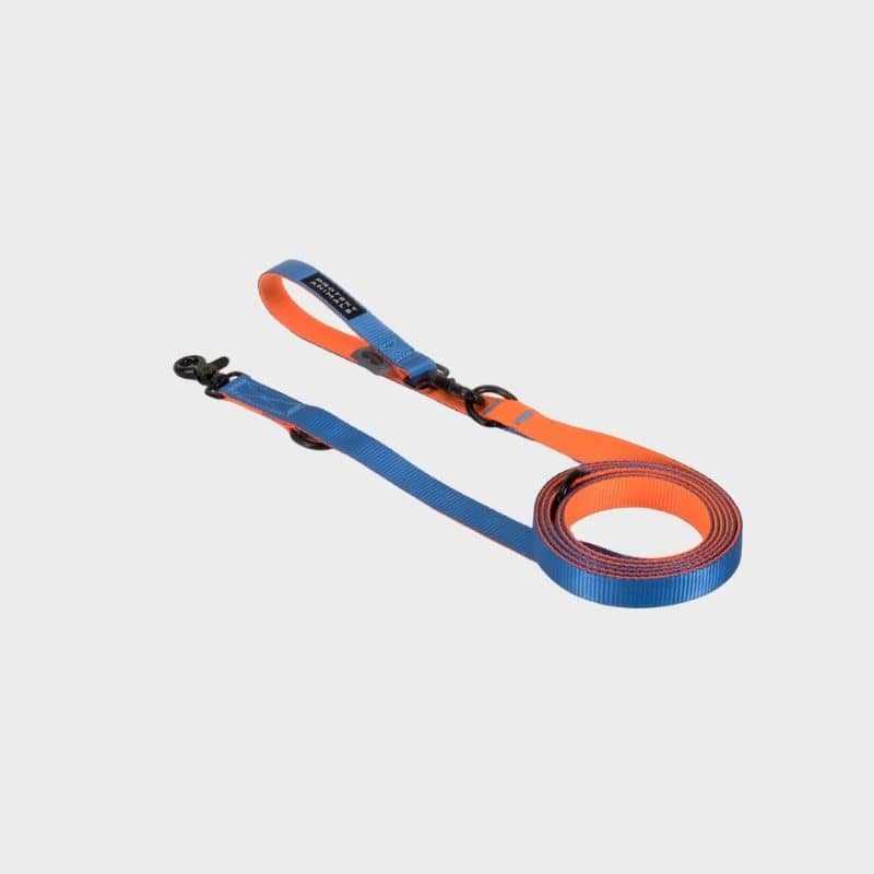 Laisse multiposiiton pour chien duo orange et bleu