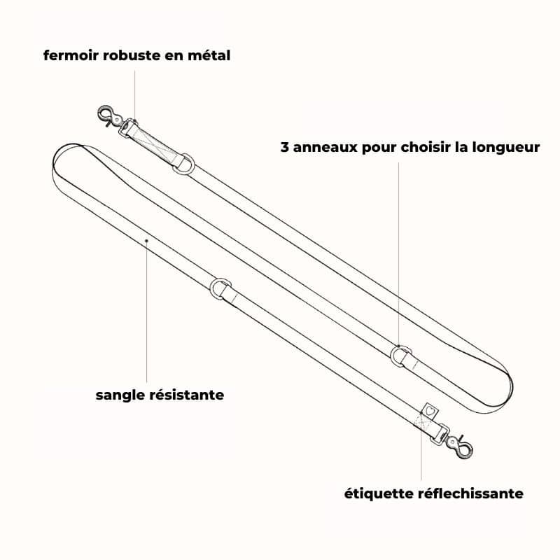 Caractéristiques de la laisse multiposition pour chien de Protekt Animals