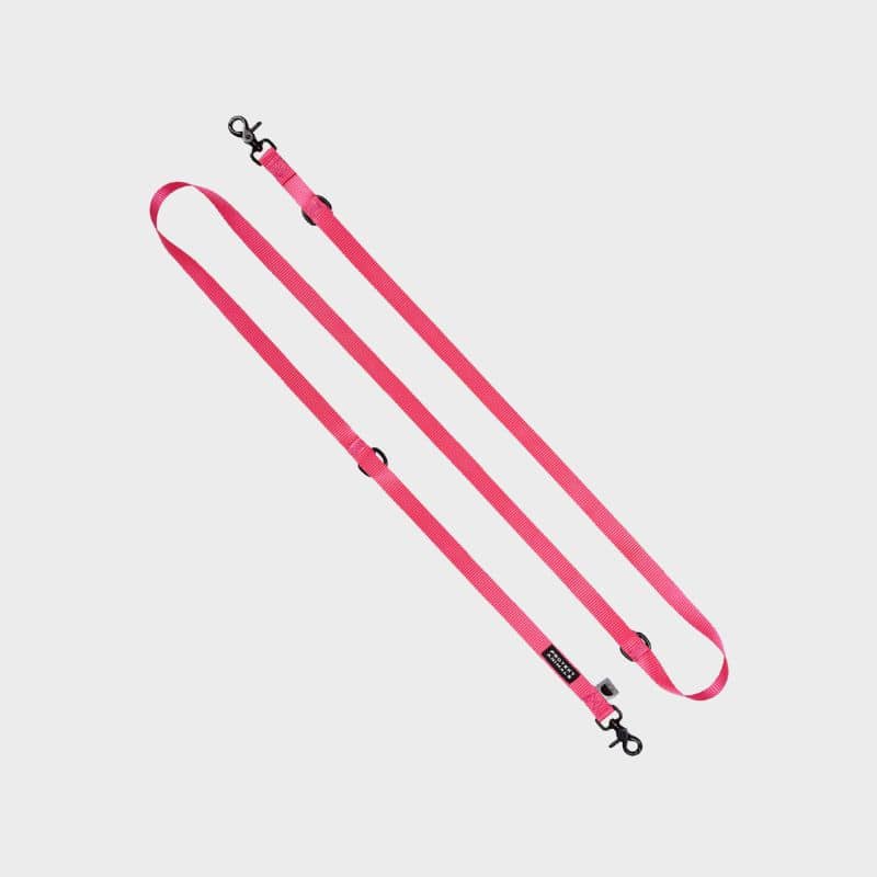 Laisse multiposition pour chien en rose néon Protekt Animals