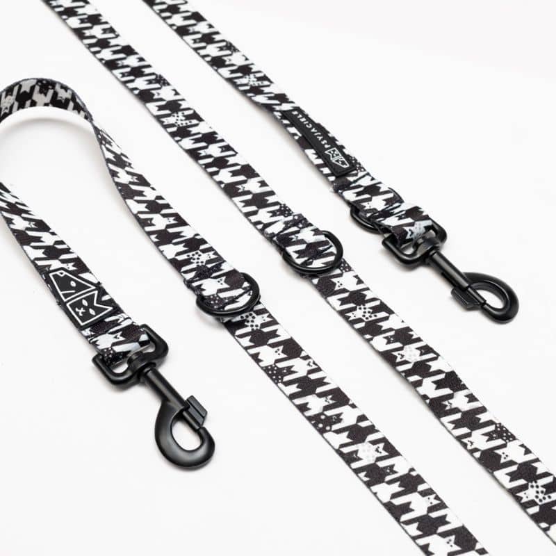 Anneau pour la laisse miltipositions pour chien Psyjaciele
