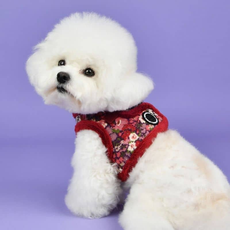 Harnais pour chien Gianni Wine de Puppia
