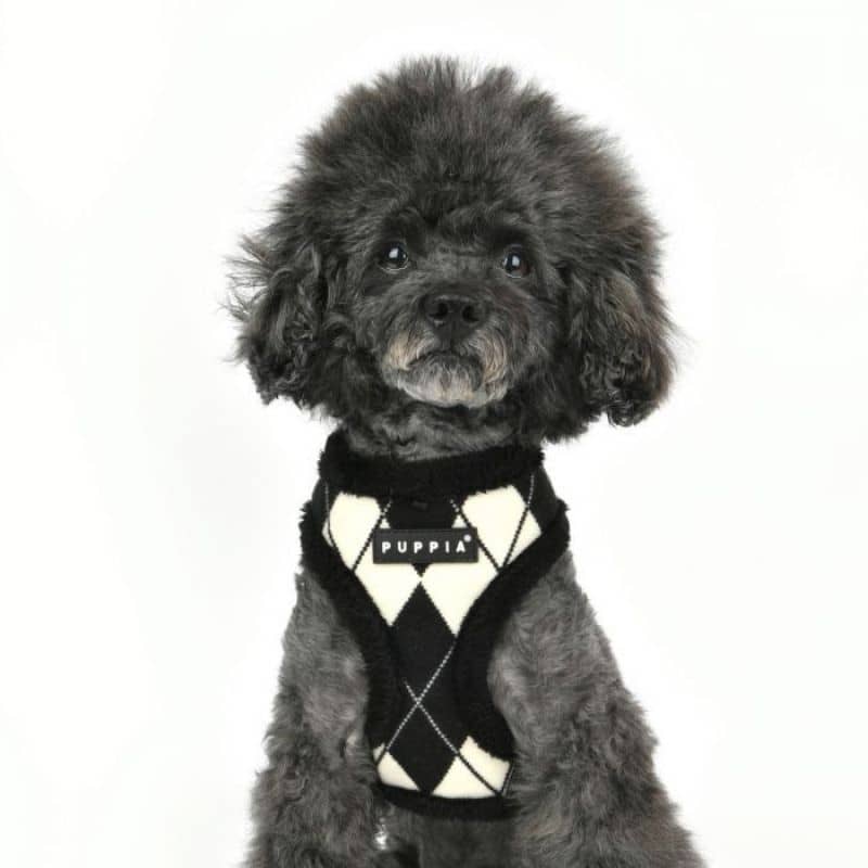 HARNAIS AJUSTABLE POUR CHIEN FOURRURE - LOSANGE NOIR ET BLANC CHIC