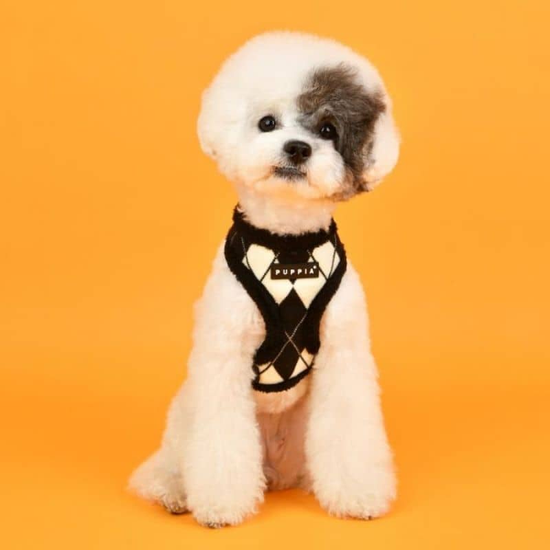 HARNAIS AJUSTABLE POUR CHIEN FOURRURE - LOSANGE NOIR ET BLANC TENDANCE