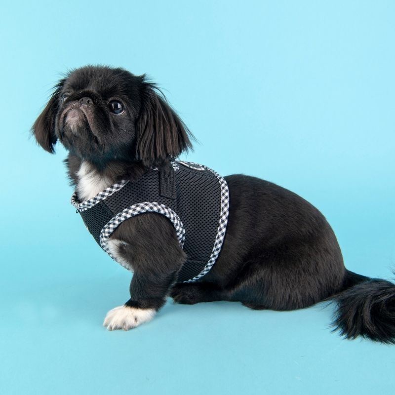 Harnais noir pour chien de la marque Puppia