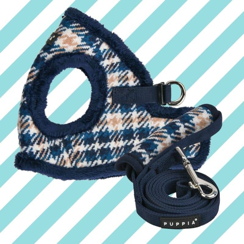 LAISSE POUR CHIEN - CARREAUX BLEUS ENSEMBLE