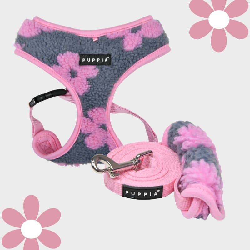 Ensemble harnais et laisse puppia modèle Ren
