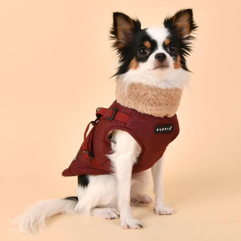 MANTEAU POUR CHIEN COL FOURRURE - BORDEAUX HIVER