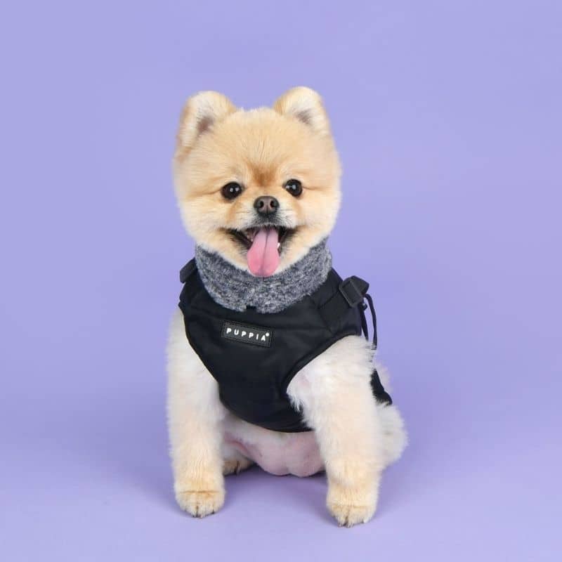 MANTEAU POUR CHIEN COL FOURRURE - NOIR DETAIL