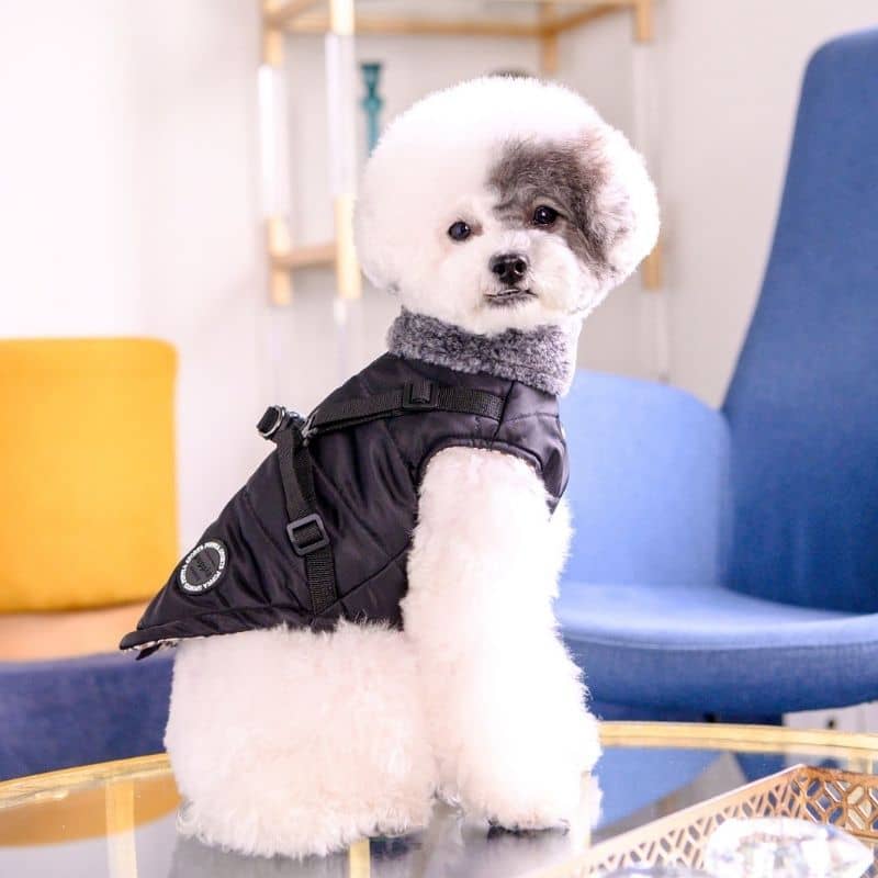 MANTEAU POUR CHIEN COL FOURRURE - NOIR HIVER