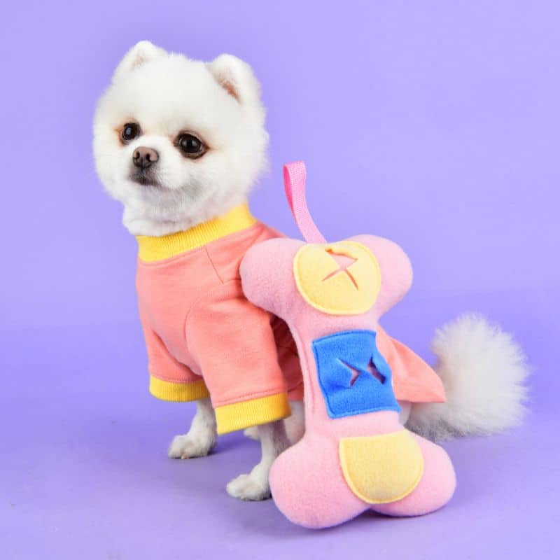 Chien avec jouet type nosework en forme d'os